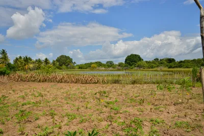 DSC_4777 (Large).JPG